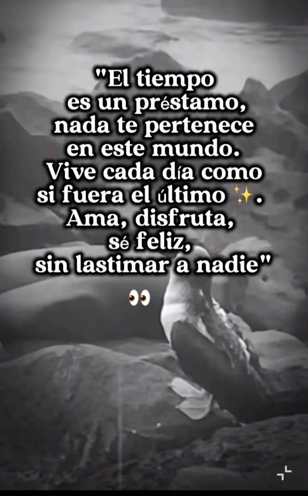 @july alarcon