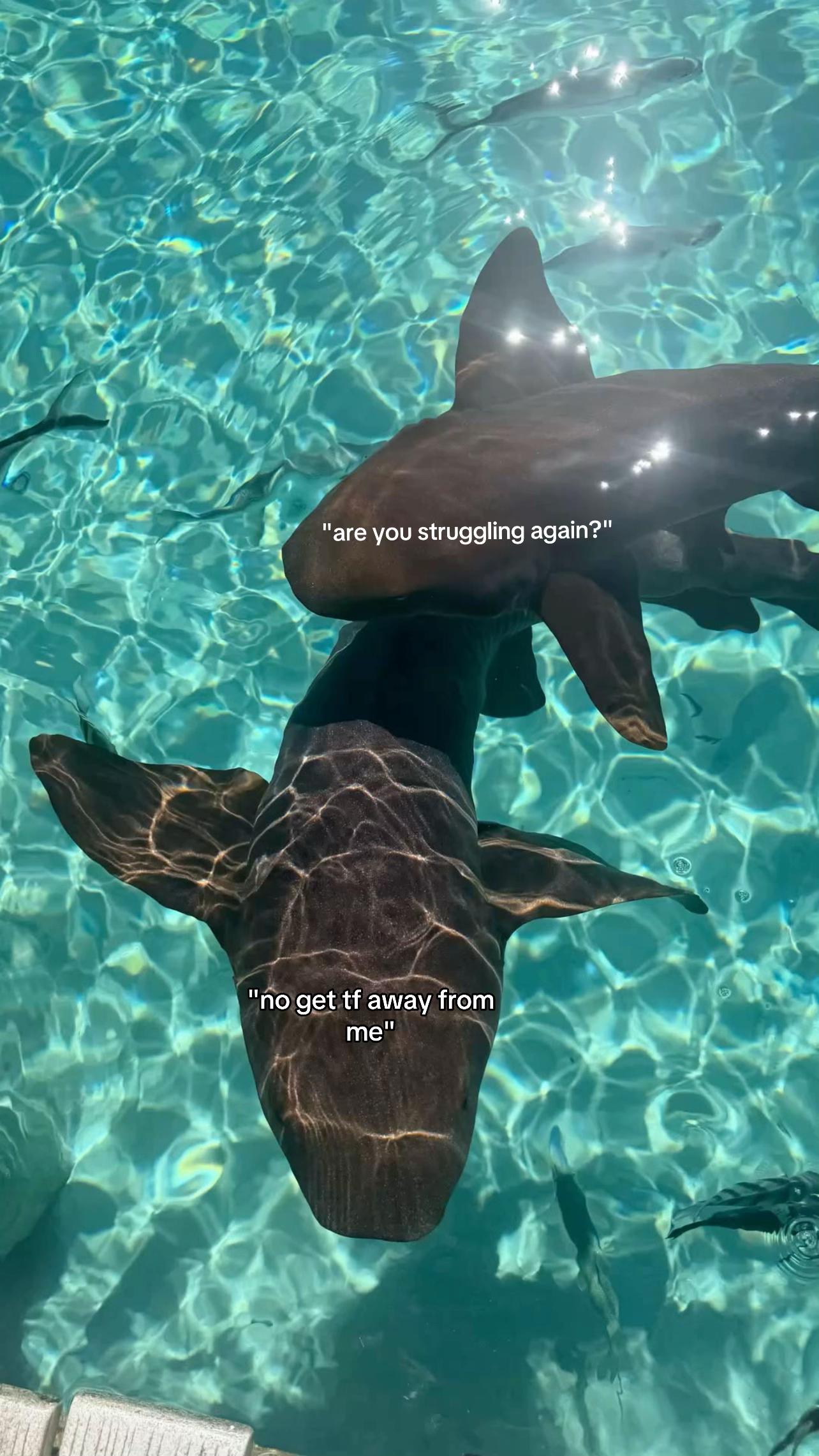 @lost