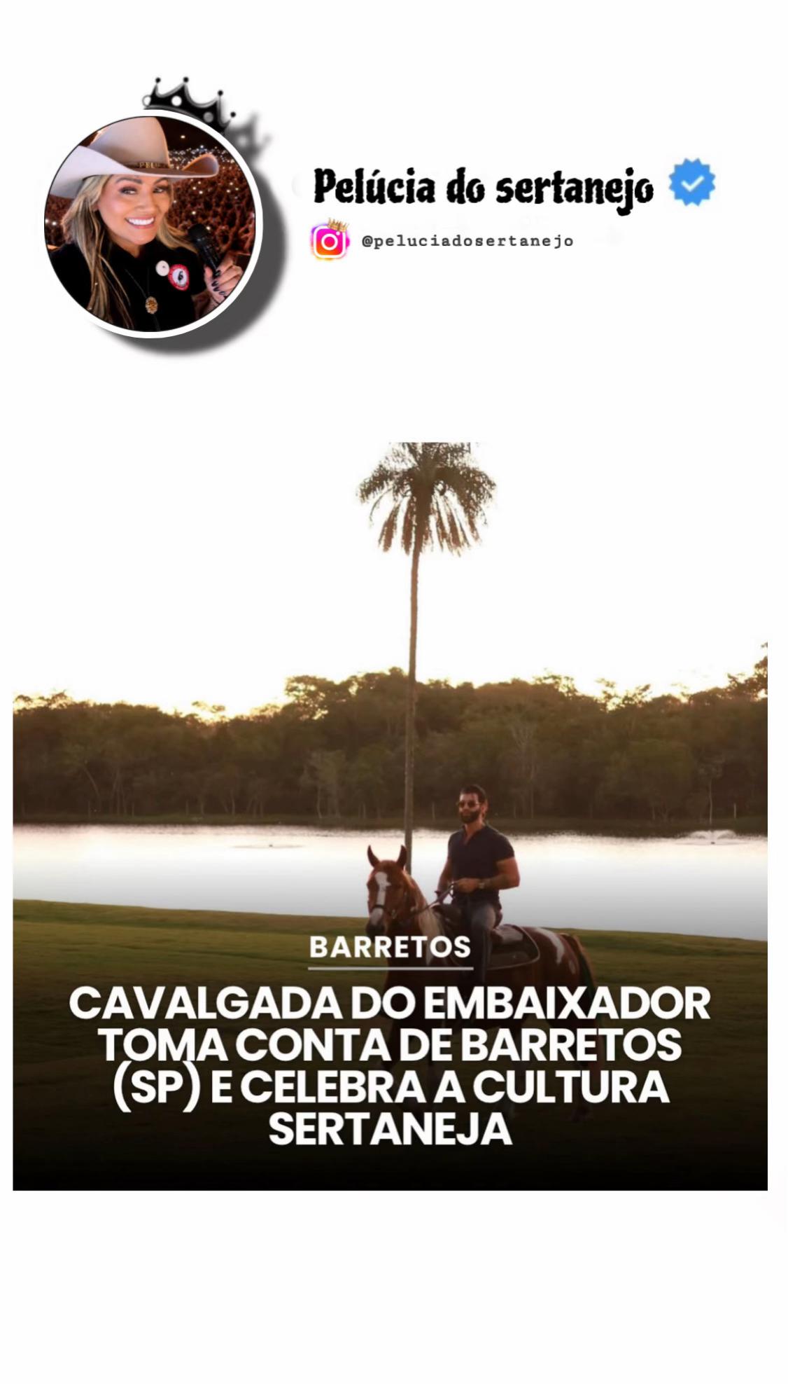@NIH DO SERTANEJO 🎶