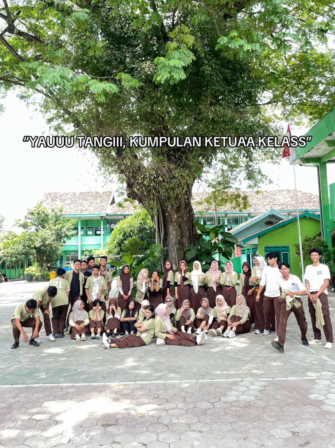 @XII MIPA 3
