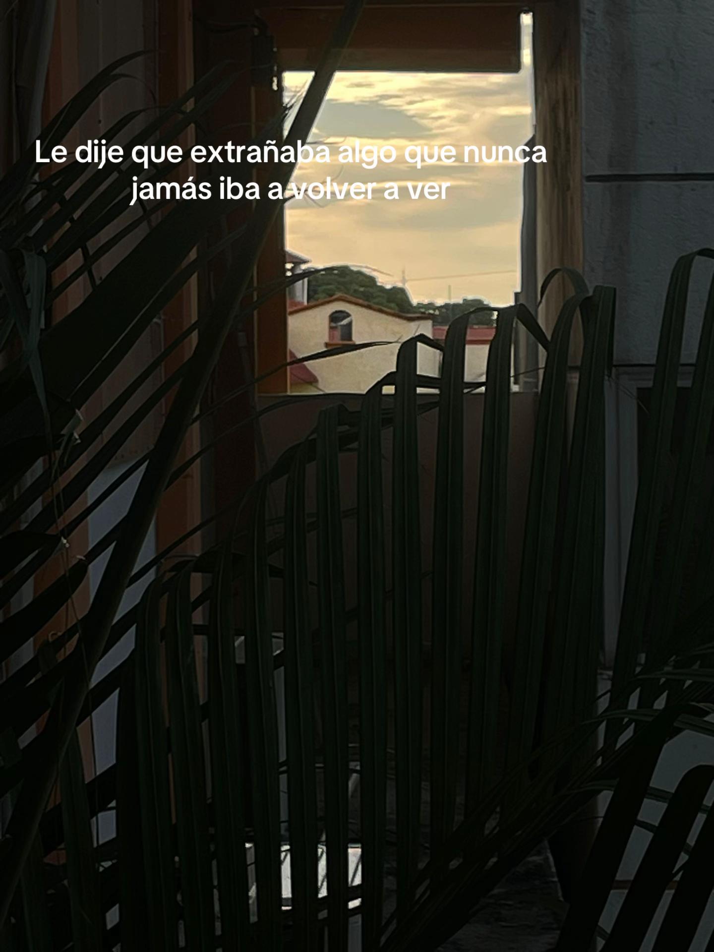@foiv3_ch4n