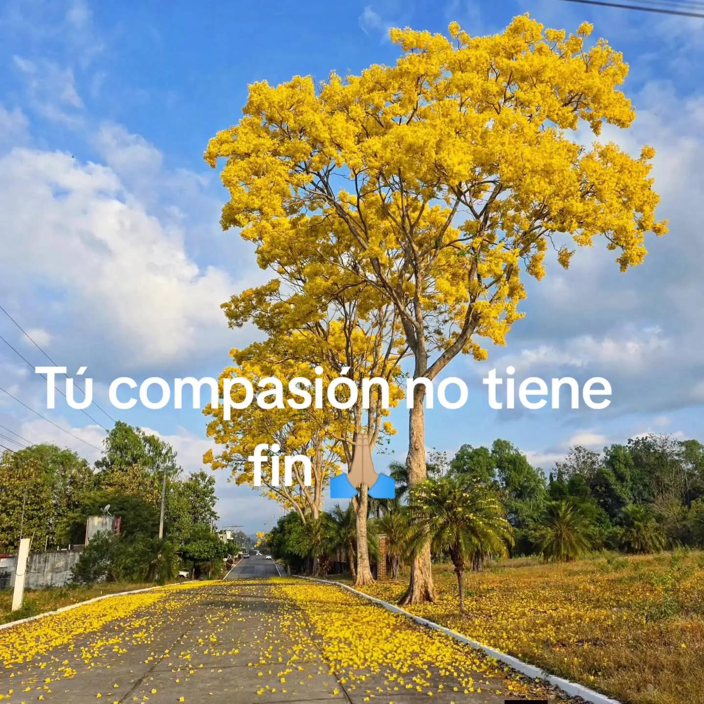 @Hijo de Dios