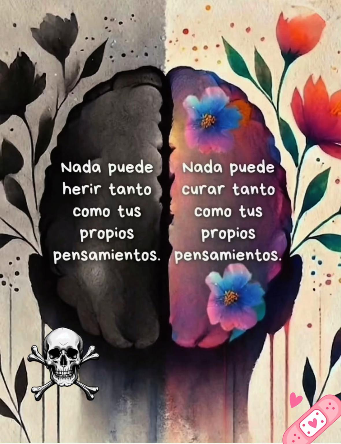 @almayoss1