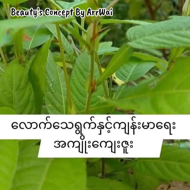 @đđŤđŤ_đđđ˘ đđ¨đŽđŤđ§đđ˛