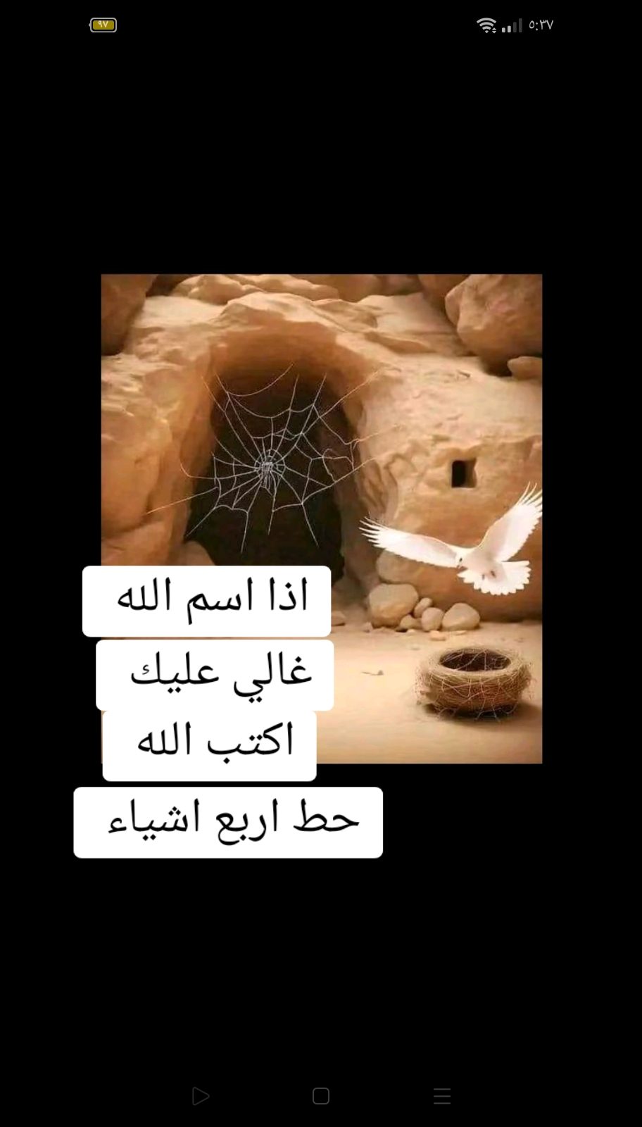 @نزهي احمد ابو النزهه