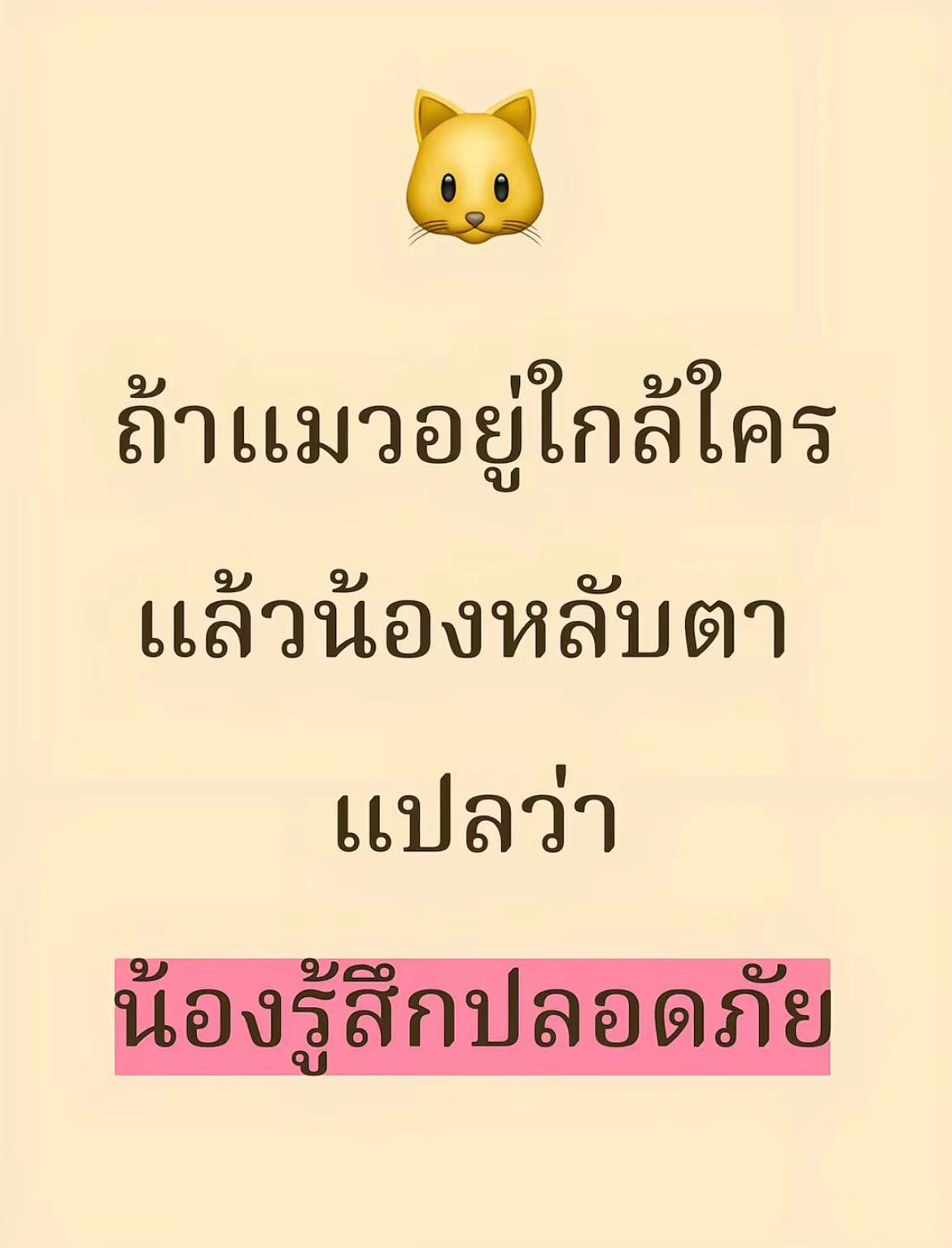 @กระเพราเป็ด