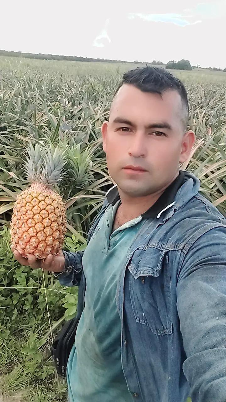 @Andres Godoy