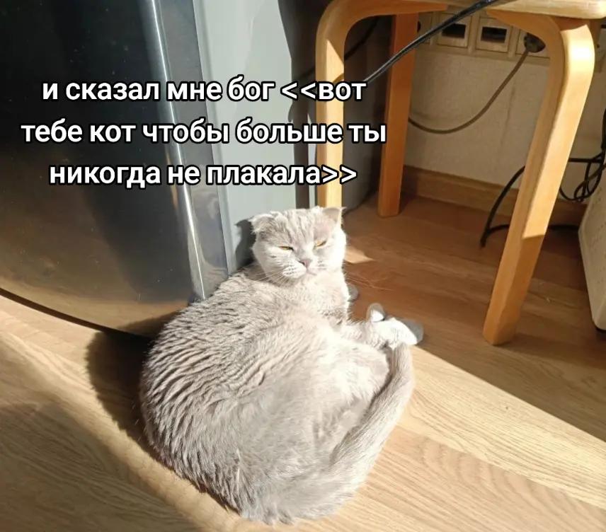 @лина