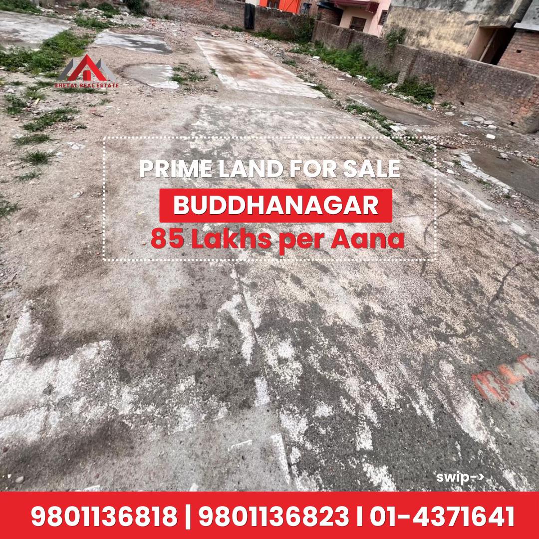 @Shetal Real Estate