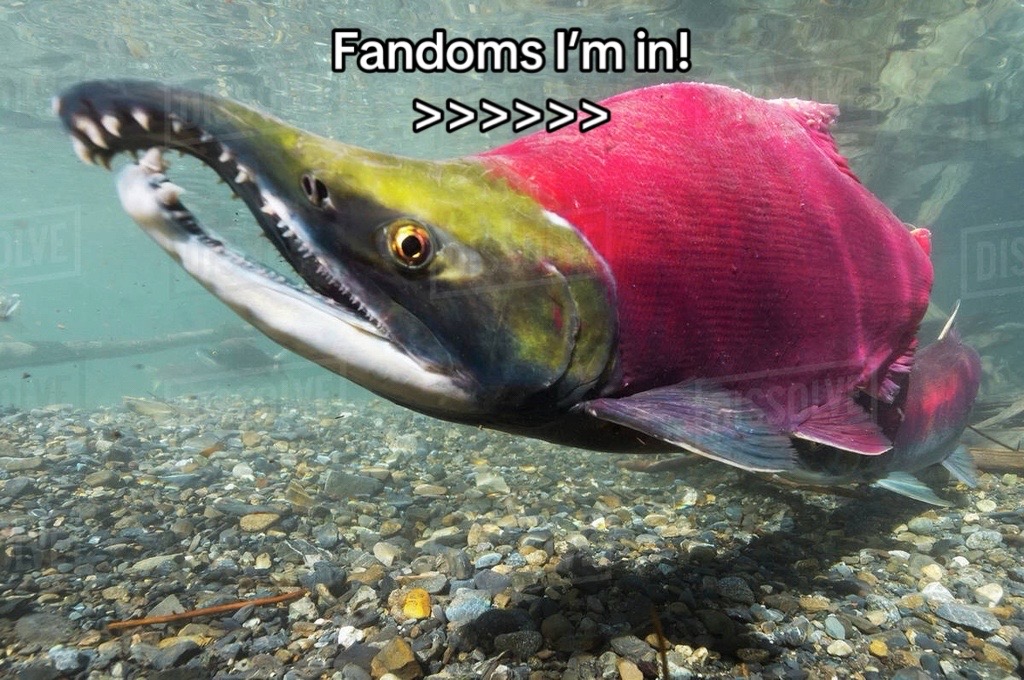 @uglyfurry