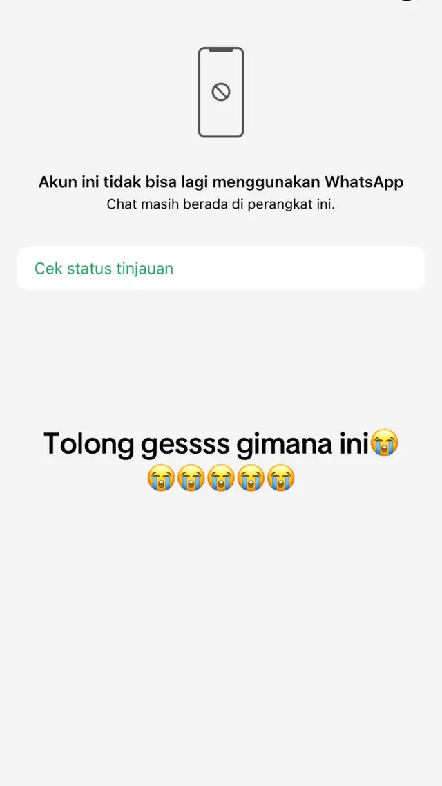 @tahukocektikung_lmg