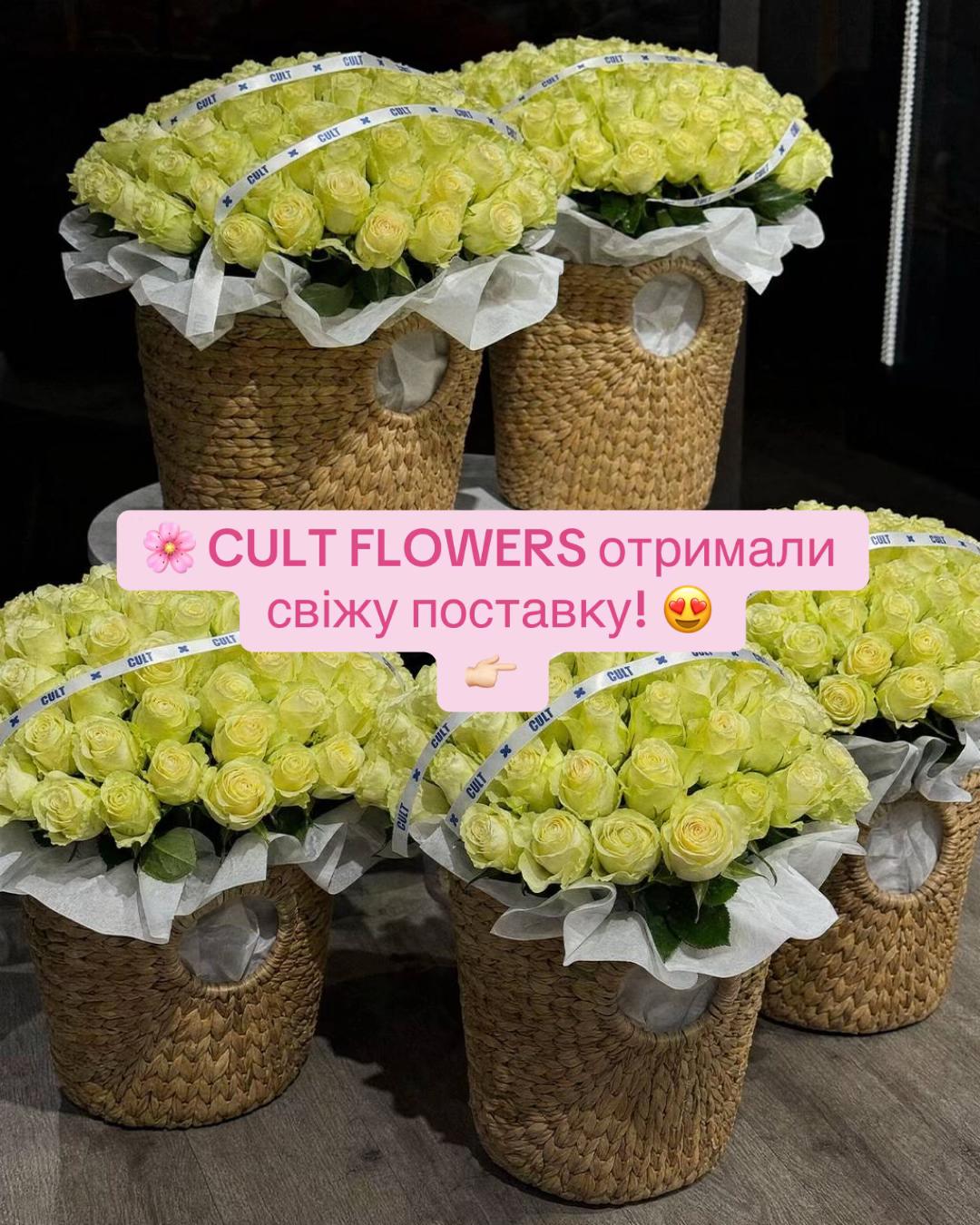 @ТГК: Житомир Оперативний