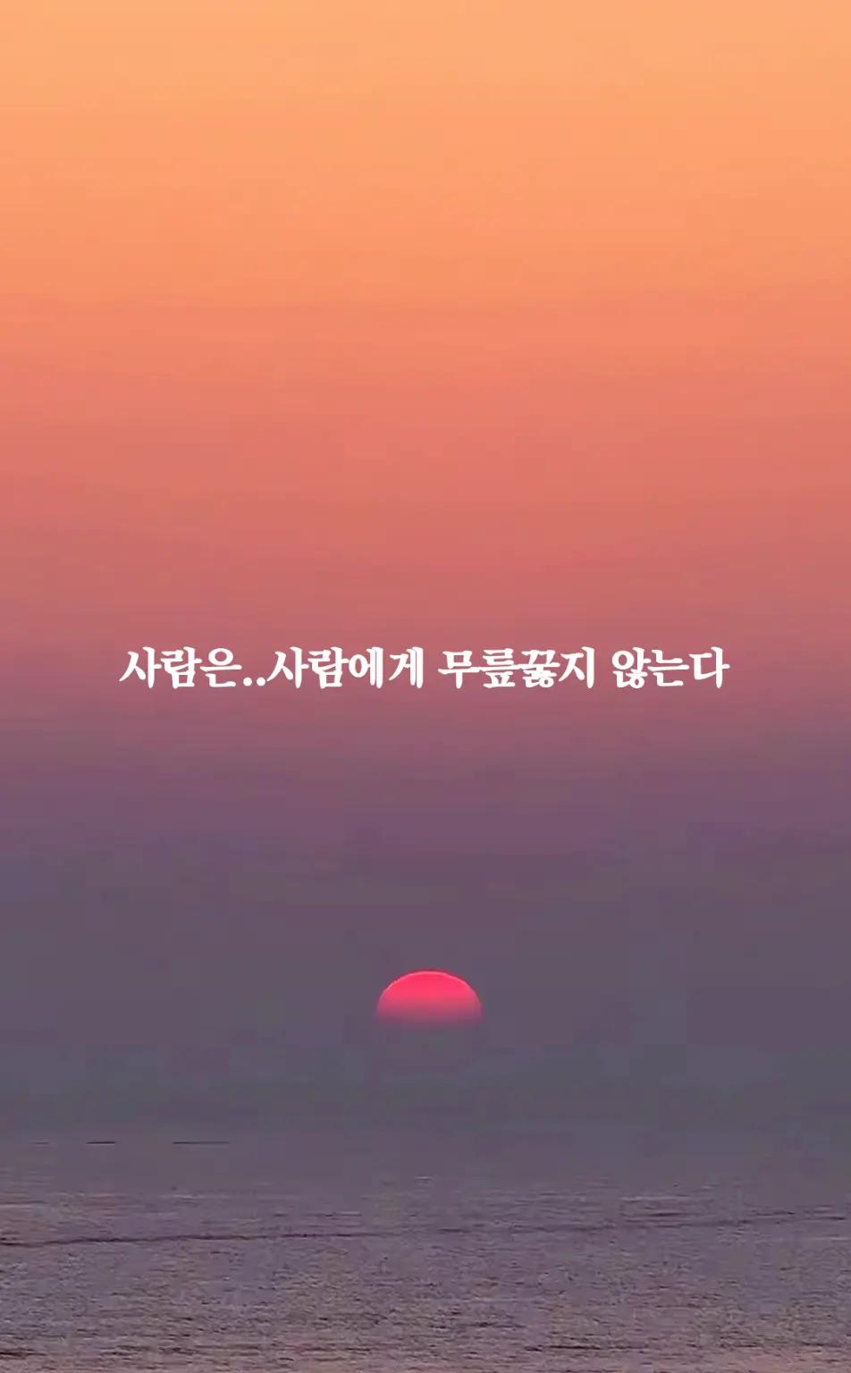@진인사(盡人事)타로