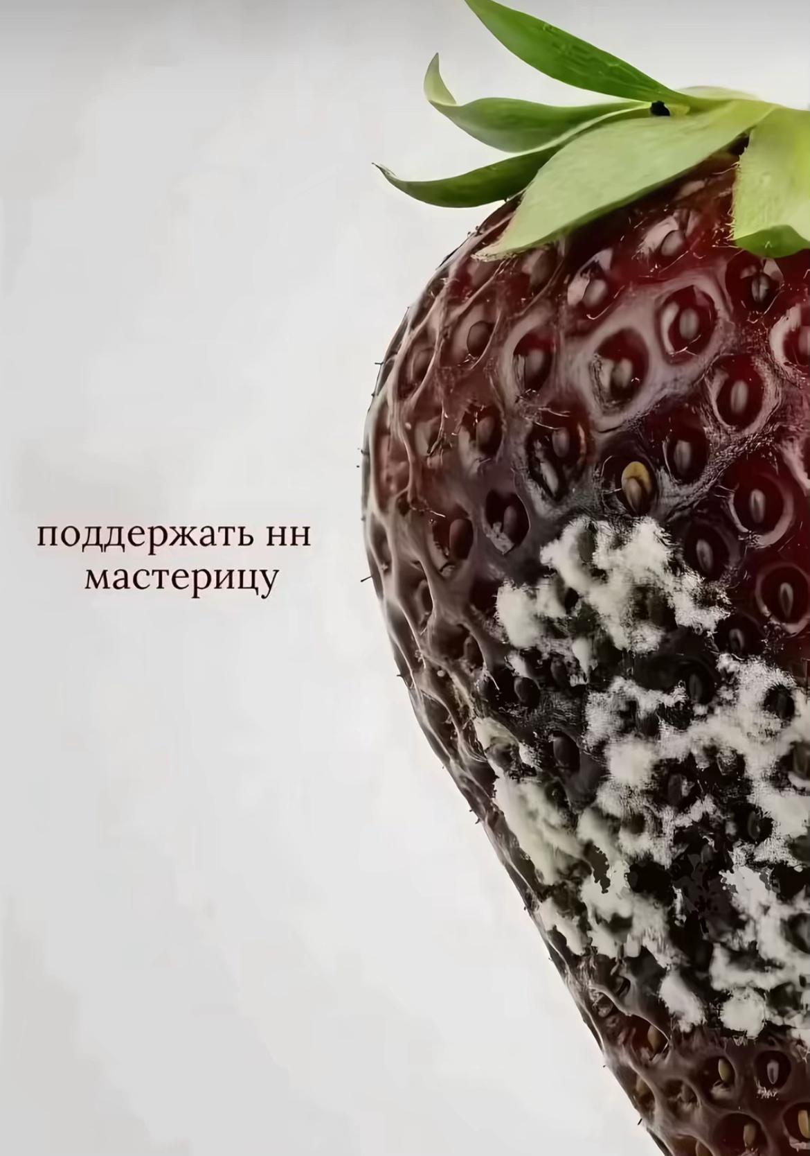 @тгк: OLENSKII
