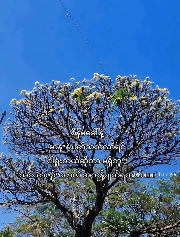 @🐰အသေးလေး🐰