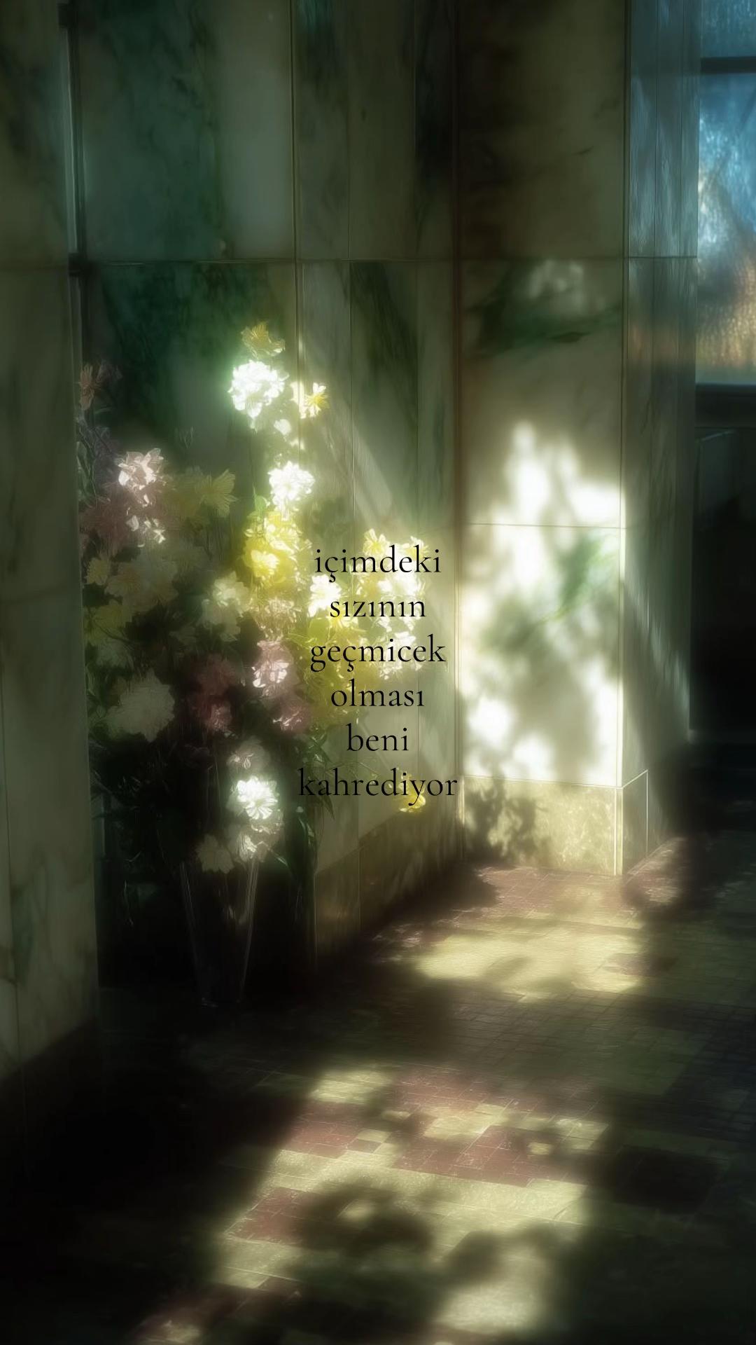 @𝒍𝒊𝒗𝒊𝒏𝒈𝒉𝒂𝒓𝒅