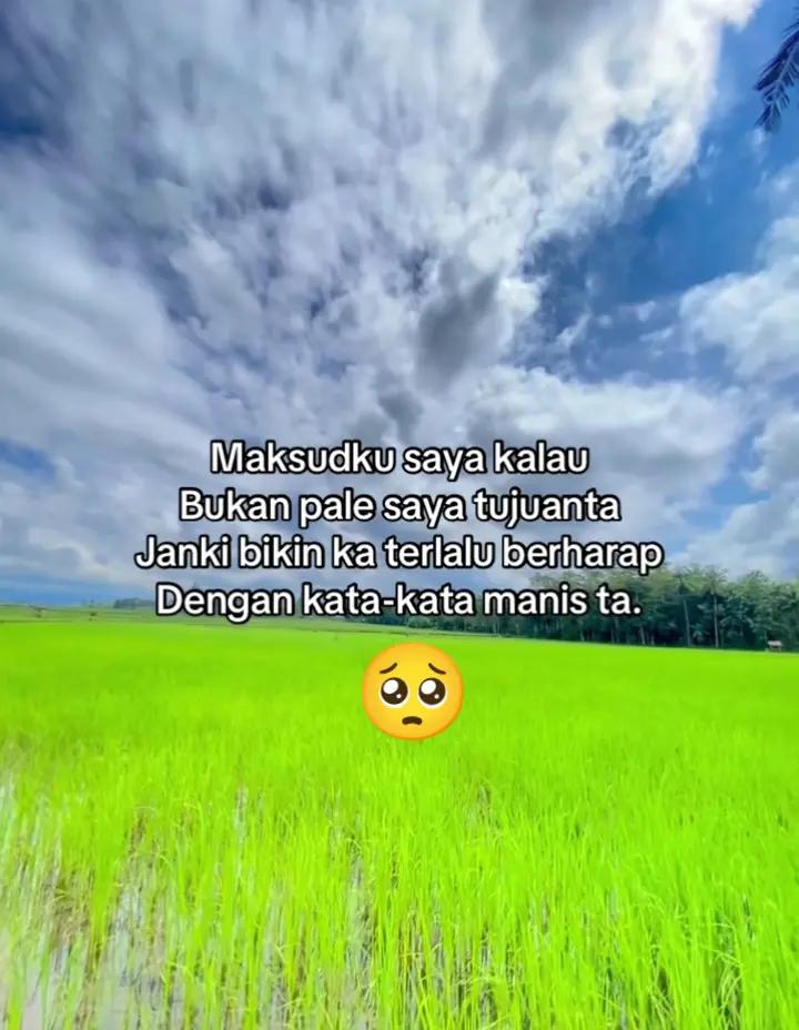 @irdandi ๐ซถ๐