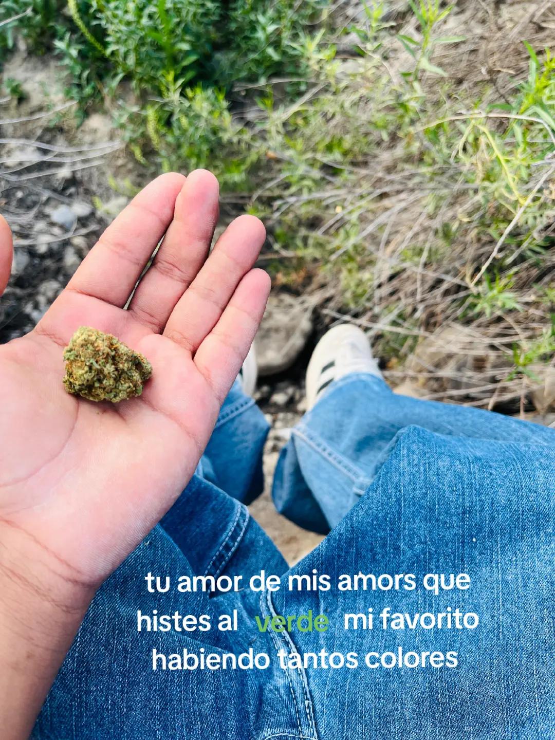 @👤