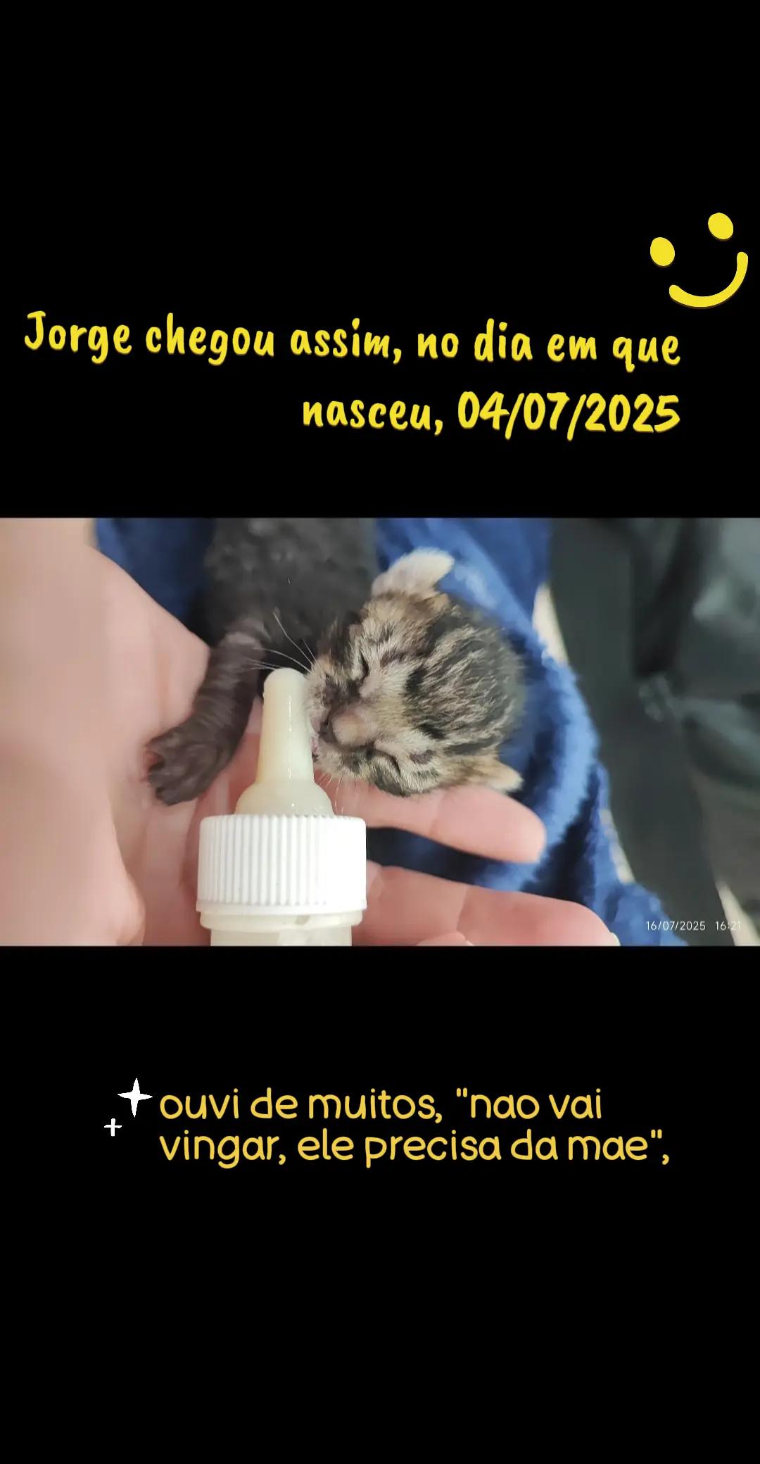 @Andreia Pessini