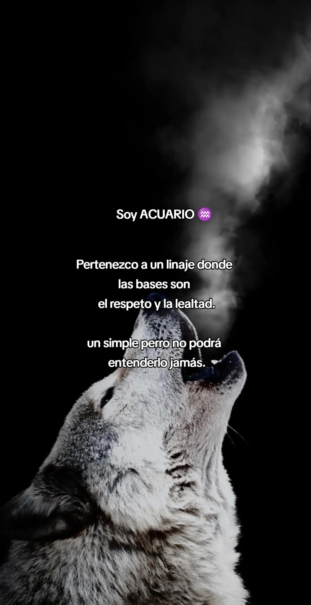 @QullaquitaDelia