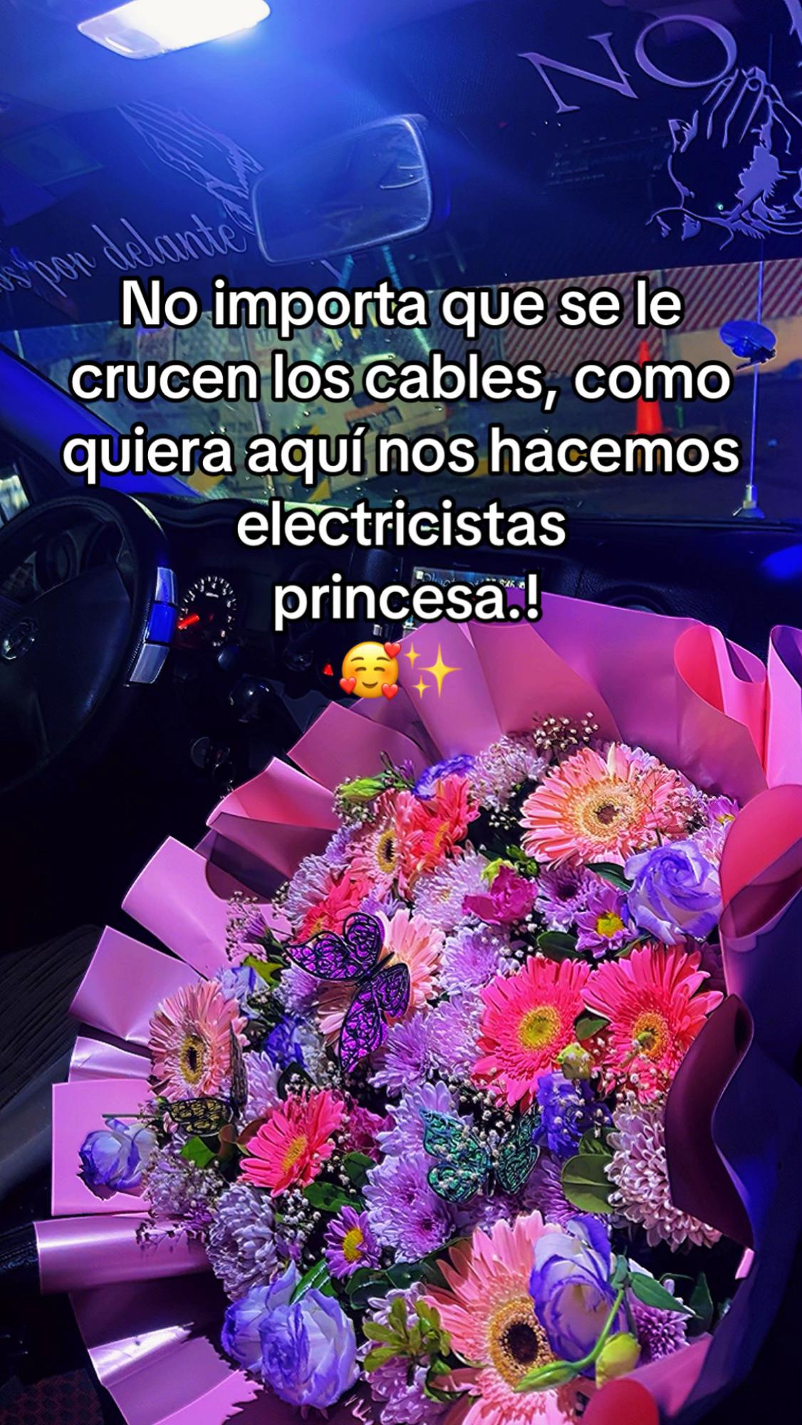 @Ulises silva