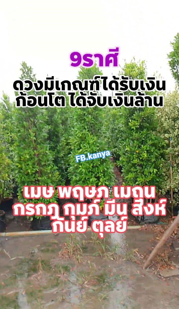 @เฮียโชค