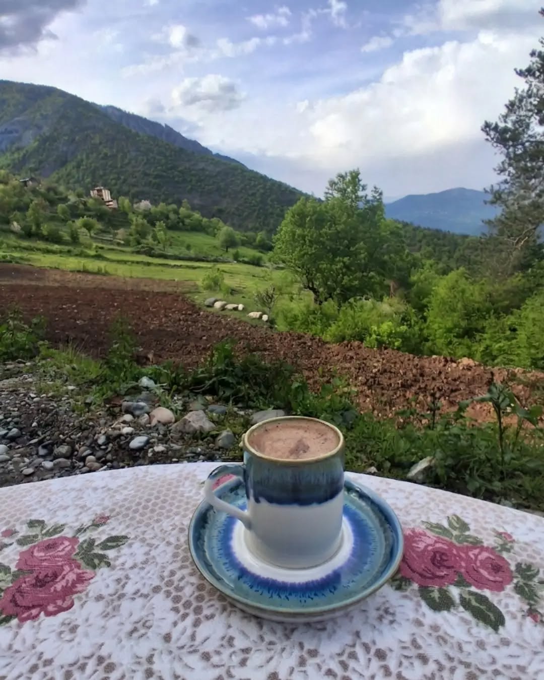 @08.G&Uuml;LL&Uuml;