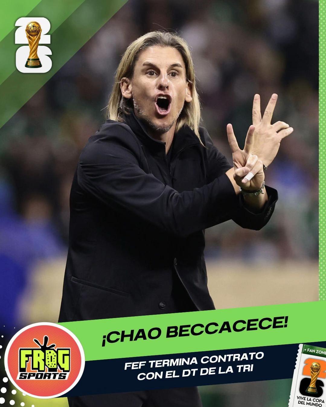 @frogsportsec