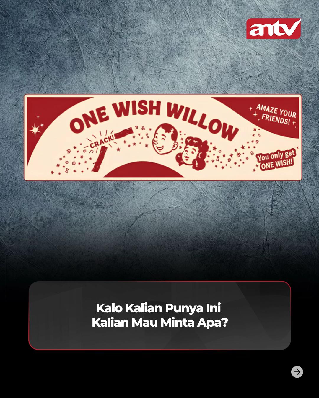 @ANTV Official