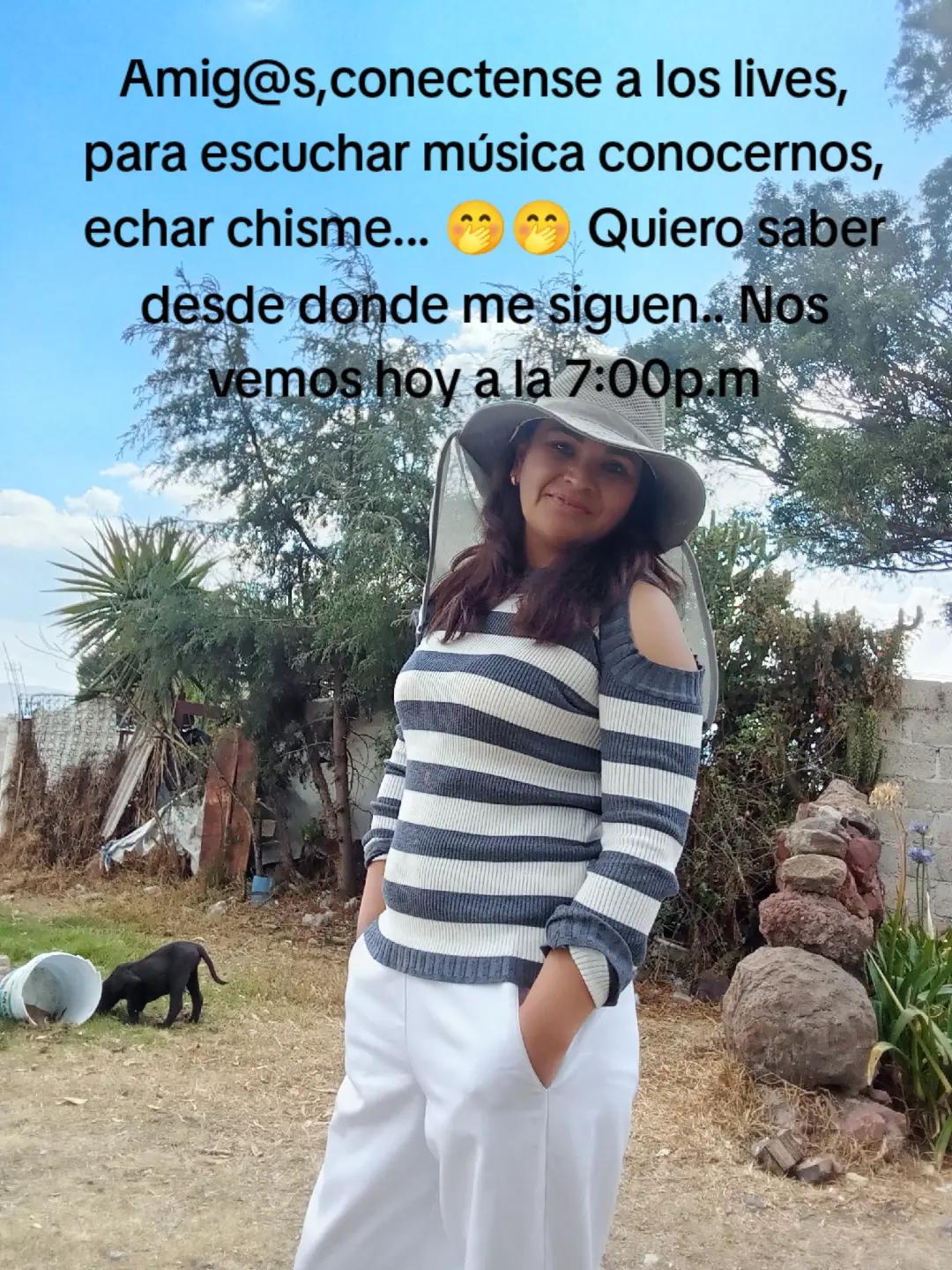 @Dinochayane
