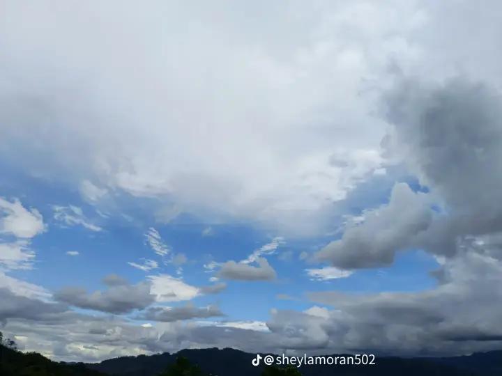 @Noemí salam