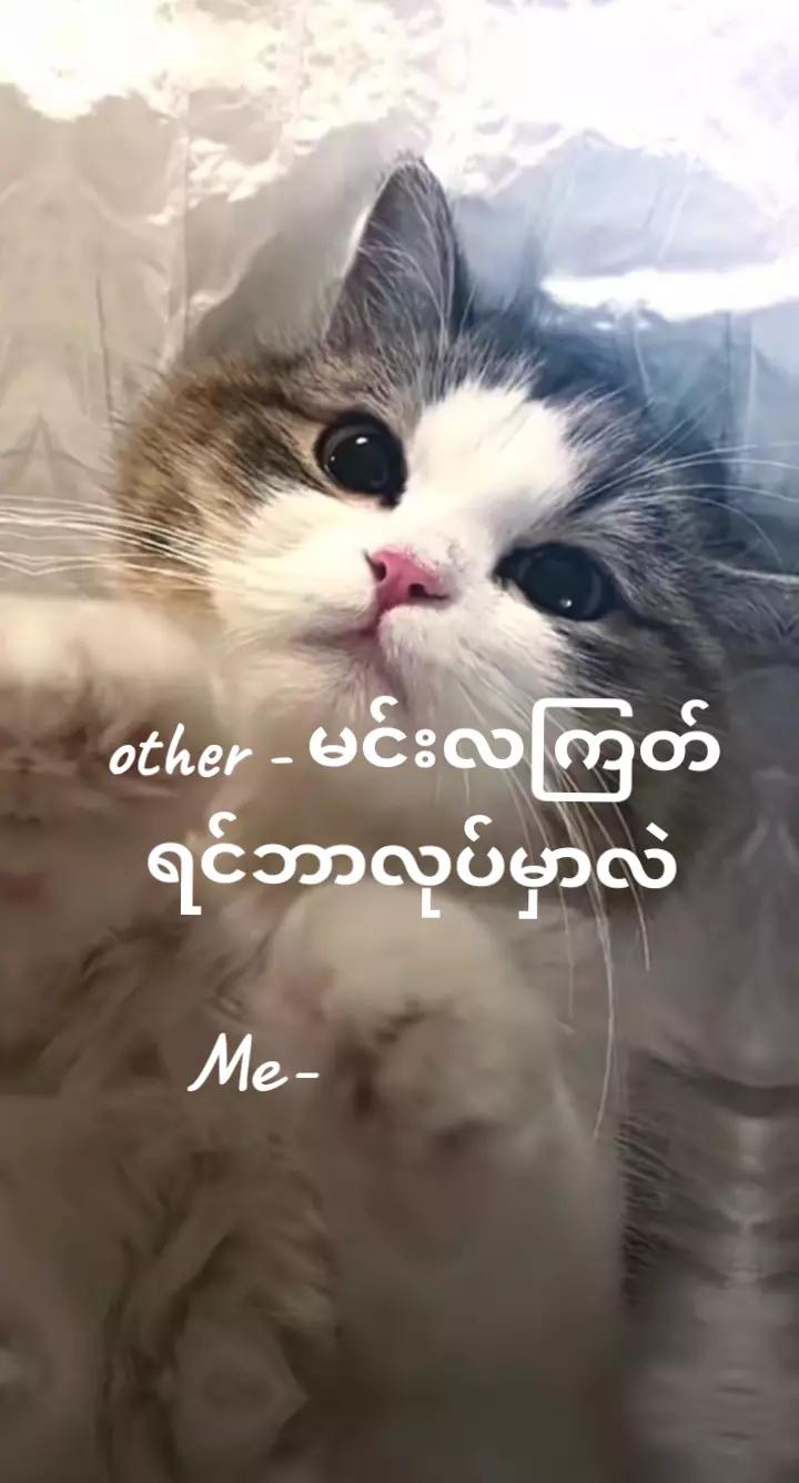 @๐ฃ๐๐ฒ๐๐งใท๏ธ