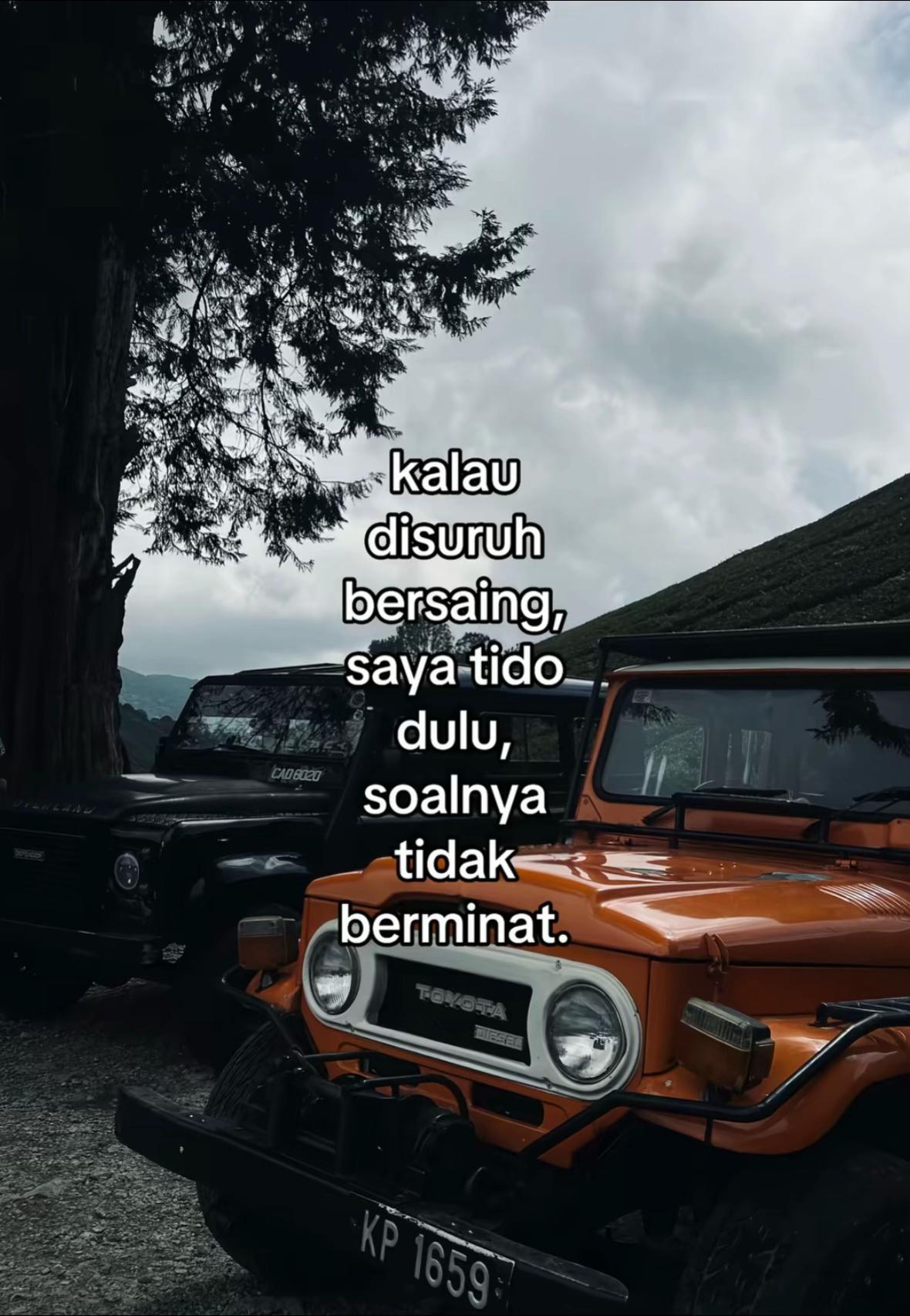@acepaqq