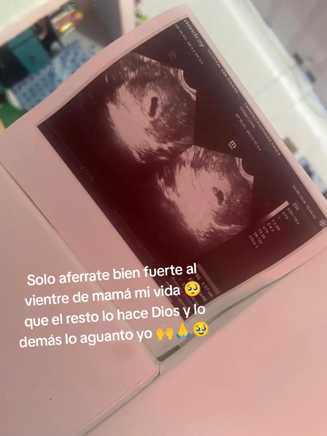 @paularodriguez1841