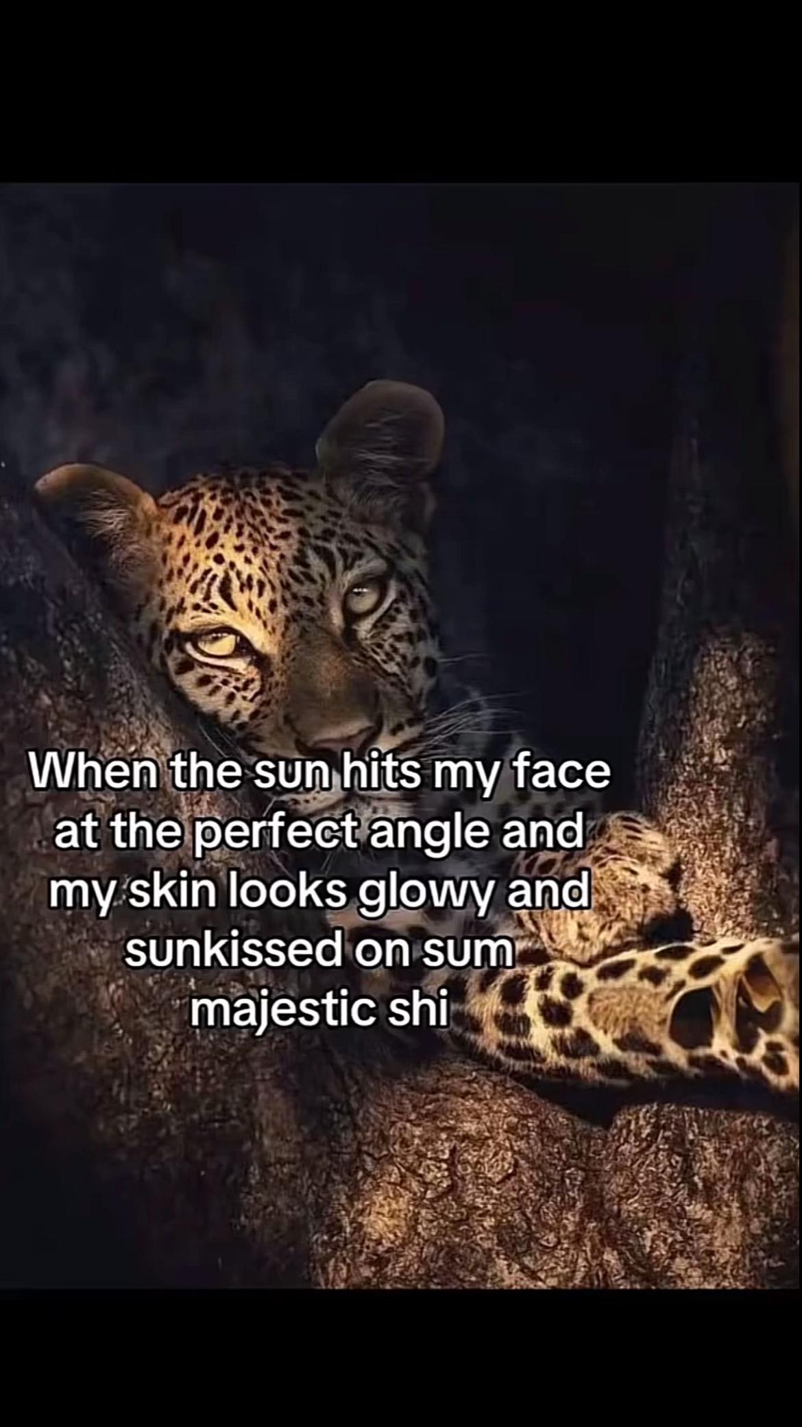 @el🌟