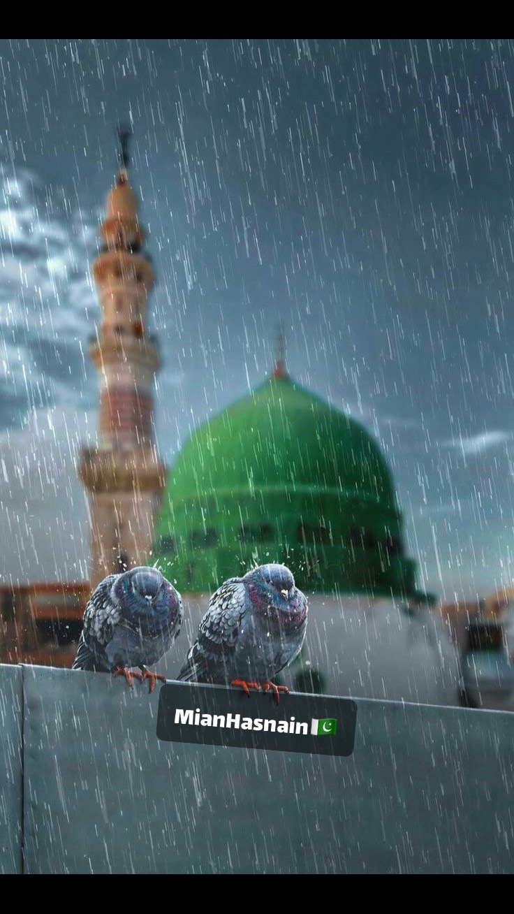 @Haسnain🇸🇦