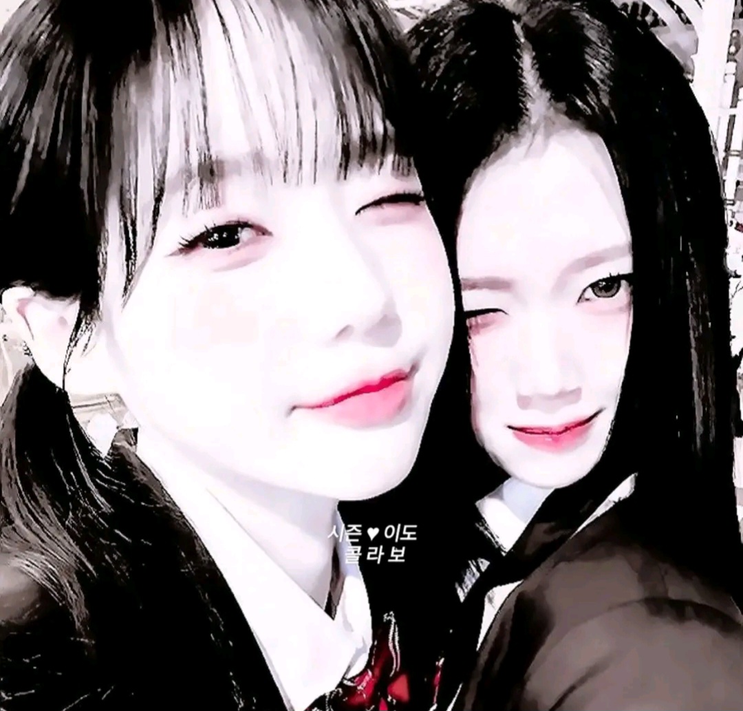 @유현 픽 시즌