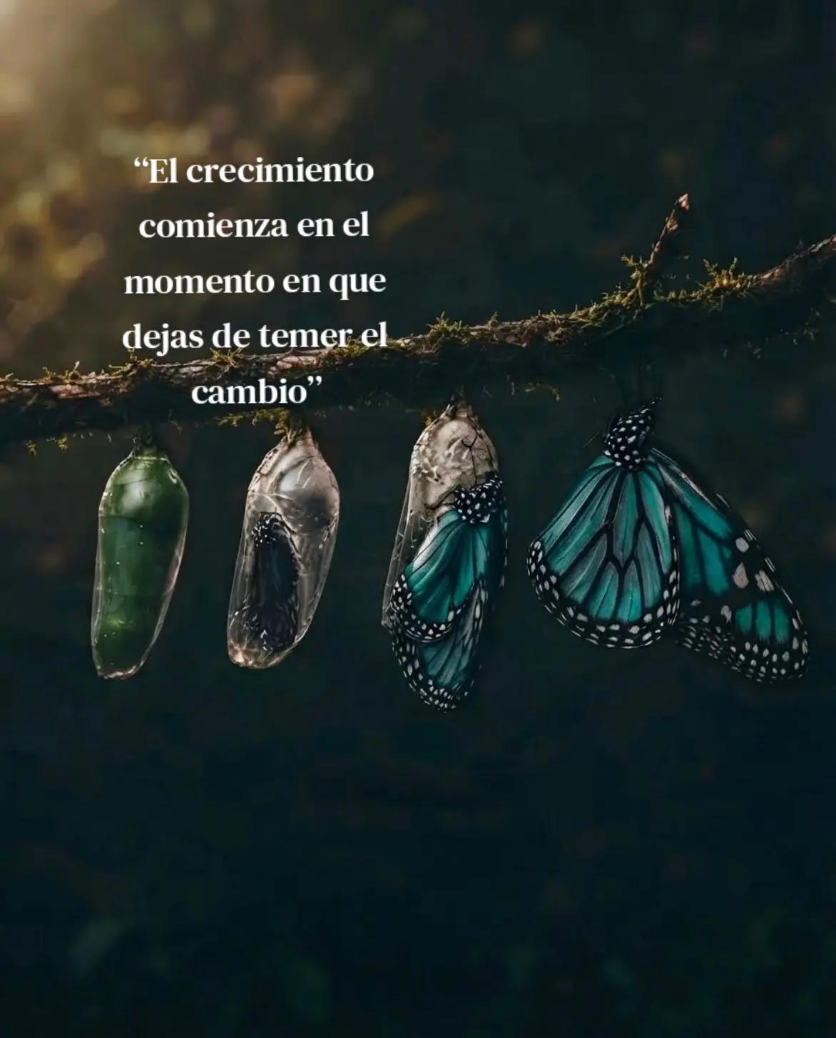 @🦋Ƒ&Atilde;ŘƑ&Atilde;ĹĹ&Atilde; &beta;ĹǗẸ ŘỖ&beta;🩵