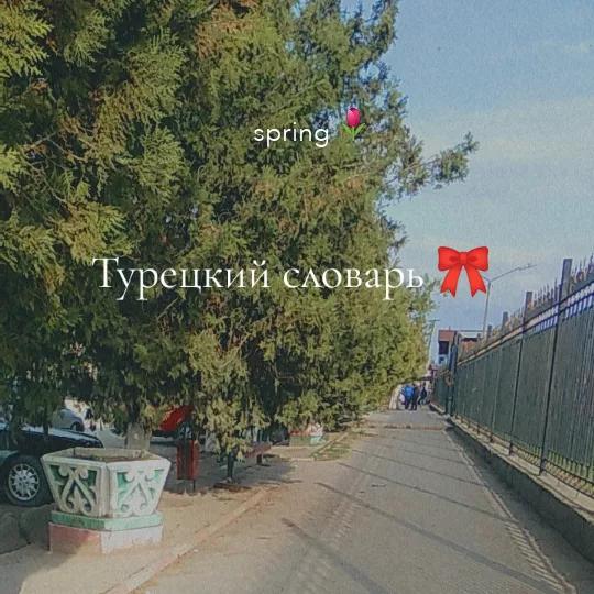 @бабочка 🦋 букеты