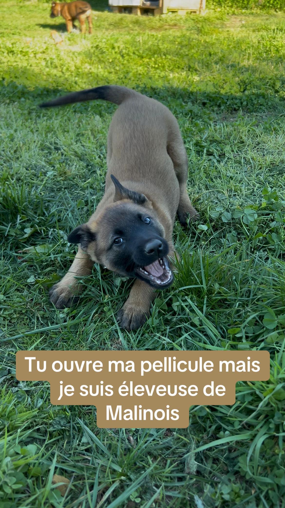 @la_legende_de_venystorm