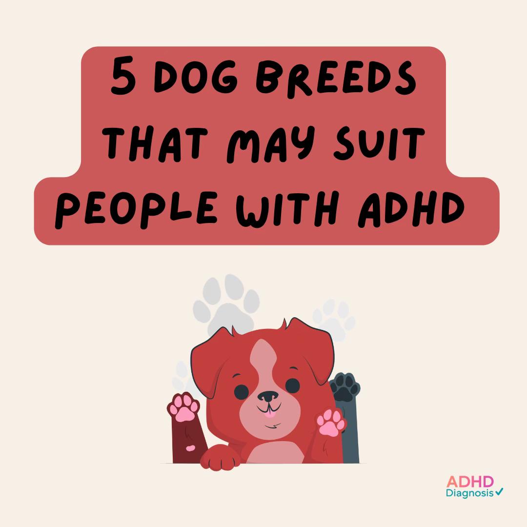 @ADHDDiagnosis