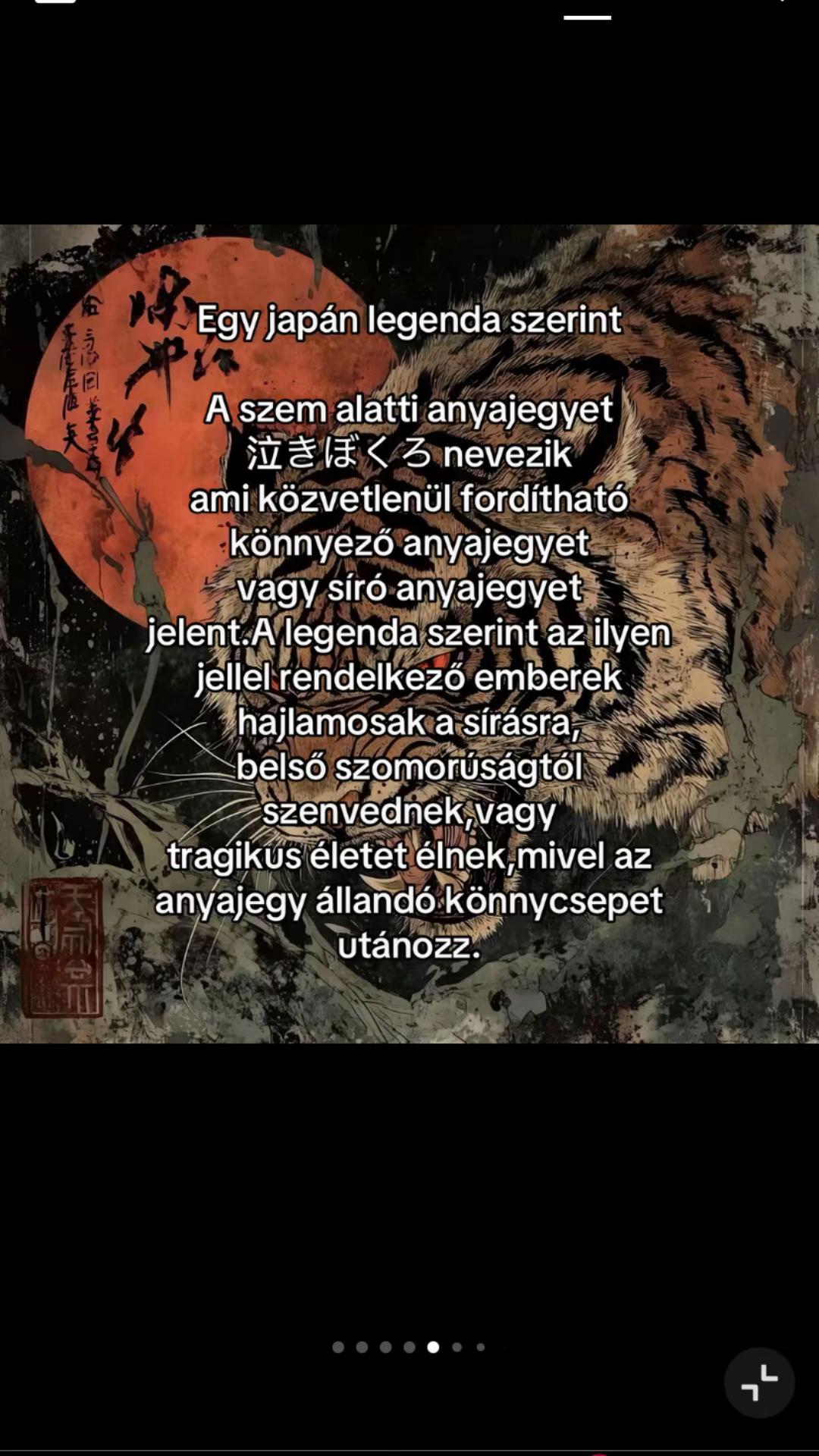 @lakatoserzsi