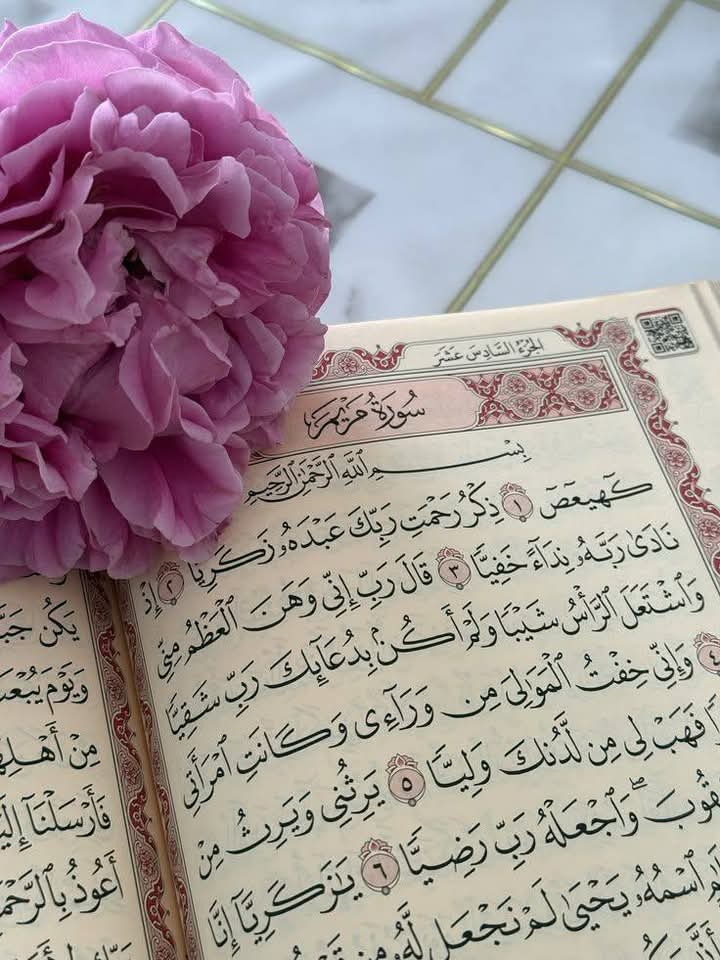 @Bint_E_Maqbool827