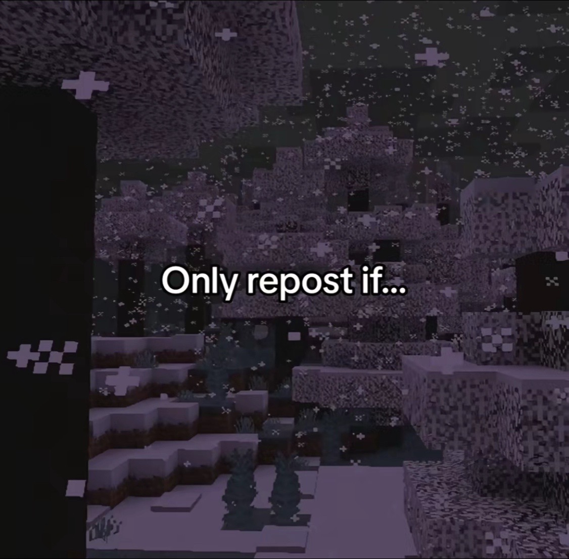@ClashSmash