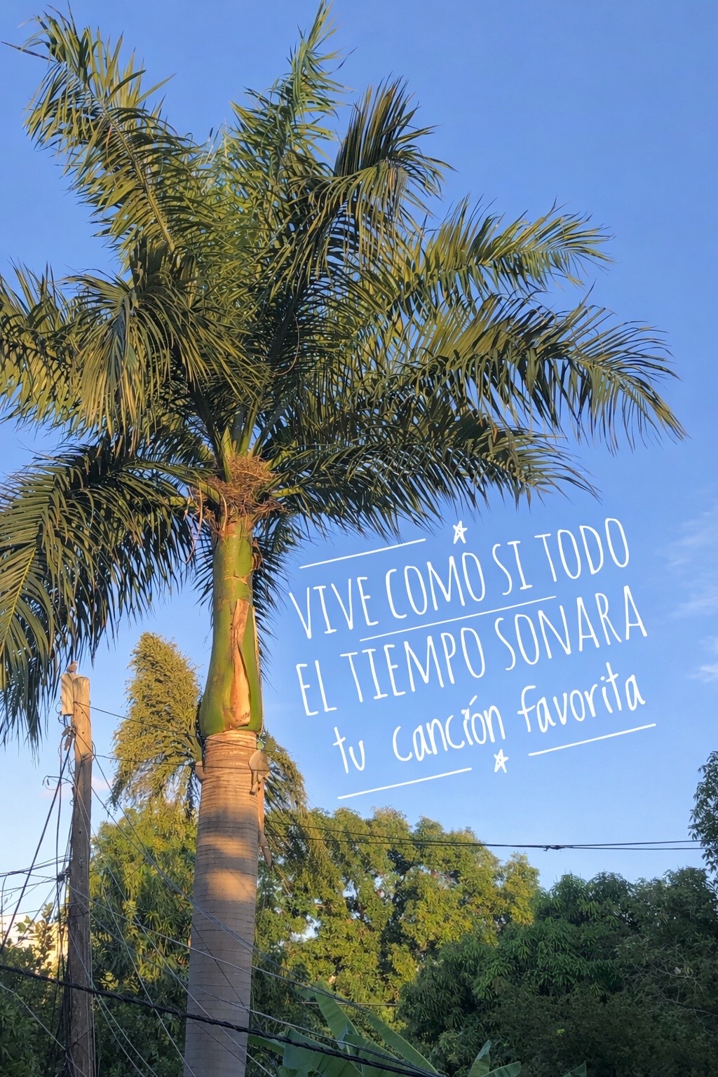 @Filo