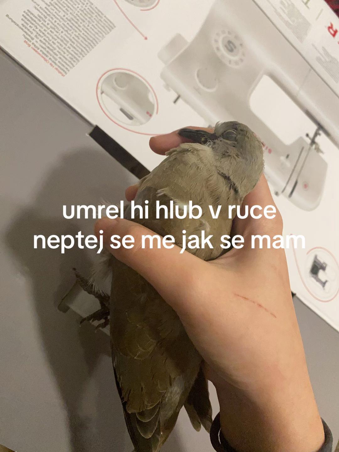 @retard lwk