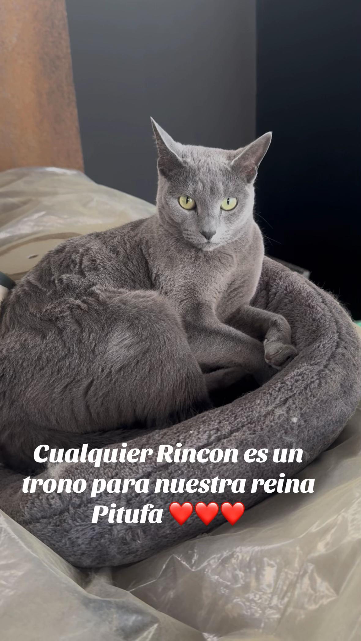 @Ganchito y su tropa