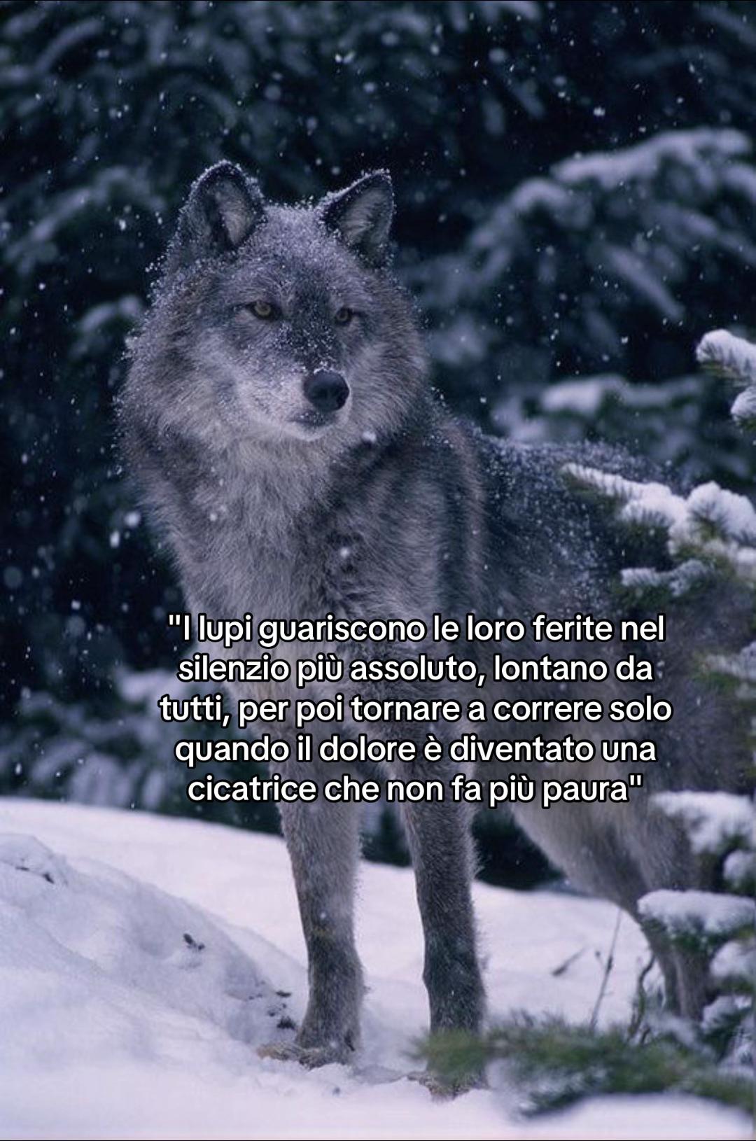 @Ilaaa❤️&zwj;🩹