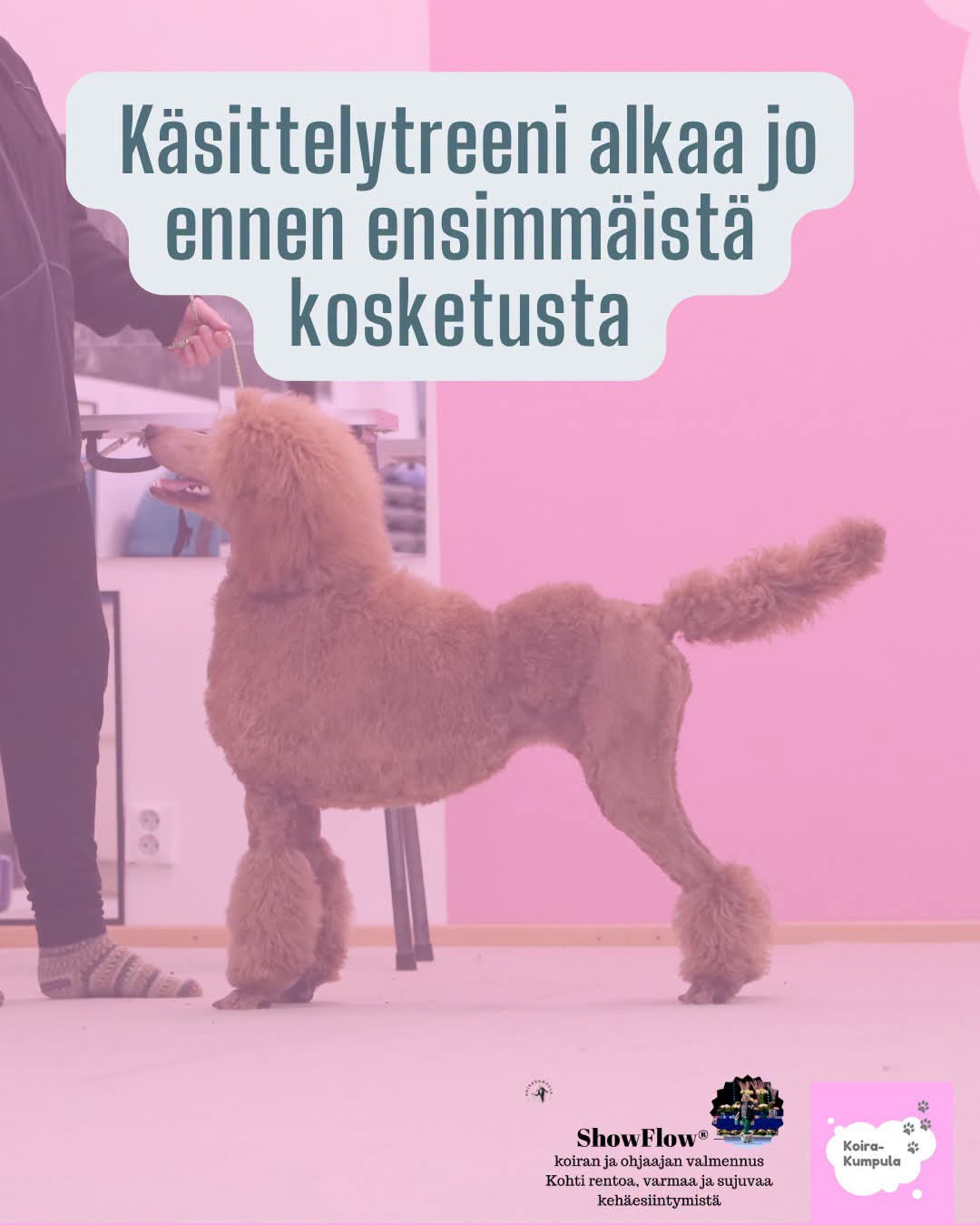 @Erja