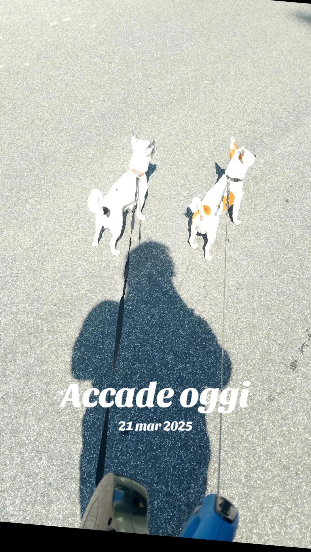 @Lucia Guadagno